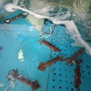 갈릴리수산 이미지