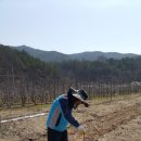 용궁농장(2) 이미지