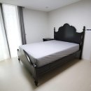 H1499 네이버블로그