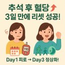 플랜128 | 추석 후 혈당, 3일간 기록해 보니 오히려 더 올라갔습니다 [리셋 플랜]
