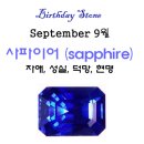 [중년살사 ]9월 [September] 태어 나신 분..(탄생석: 사파이어) 이미지