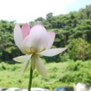 길문사