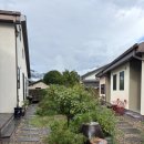 5월 감꽃 10월 홍시 | 전북 남원 지리산 숙소 | 5월감꽃 10월홍시