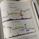 수블리야