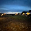 애견아트 이미지