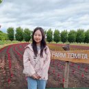 6월 삿포로 태교여행 추천 팜도미타 청의호수 유바리메론 렌터카 후기