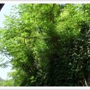 가야서당 이미지