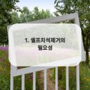 미소더예쁨치과의원 이미지