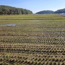 신기마을버스 정류장 이미지