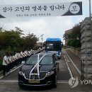 유니나 카카오 검색결과