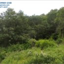 하천리-13 네이버블로그