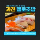 과천 데이트하기 좋은 헬로초밥 찐후기 [내돈내산]