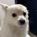 홍이네포차 | 생일로 미뤄진 일주