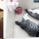 난향동-13 이미지