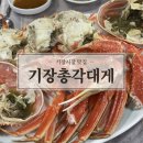 기장총각대게 | 기장시장 대게 가격 잘쳐주는 기장총각대게 내돈내산