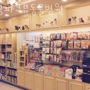 분당파크뷰 동물병원 이미지