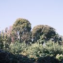 삼달1리 이미지