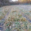 세찬농장 이미지