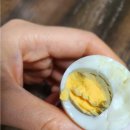 봄빛농장 | 난각번호1번 봄빛농장 달걀 처음 먹어본 솔직 후기