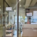 난싸롱 | [대전 은행동 데이트] 귀여움 한도 초과! 대전 중앙로 고양이 카페 ‘냥이싸롱’ 솔직 후기 🐾