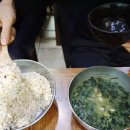 갯것이 | 제주맛집 보말국이 맛있는 갯것이 식당 ~~