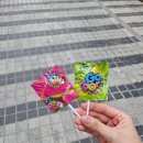 안양1번가 | 시바라마3 한우곱창 전문 안양역 안양 1번가 술집,맛집 후기~!!
