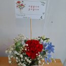 그린나래어린이집 이미지