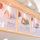모찌모찌