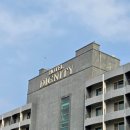 디그니티호텔 | 양양 낙산 숙소 | 디그니티 호텔