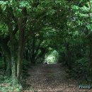 제주조각공원 이미지