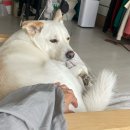 색달모터스 이미지