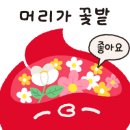 팔복칼국수