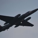 드래곤(dragon) 이미지