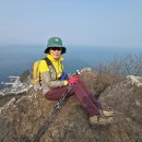 향일암전망대 이미지