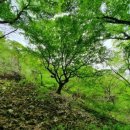 진주 정촌면 백악기 공룡ㆍ익룡발자국 화석산지 이미지