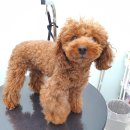 큐티하개_함 이미지