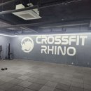 크로스핏 라이노 네이버블로그
