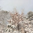 티에스팜 이미지