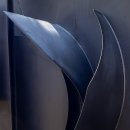 The Museum SAN 에서 이미지