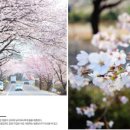 지리산 팔베개 이미지