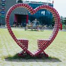 유리섬미술관 Daum카페
