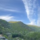 바람부리애플700 이미지