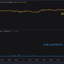 비트코인 롱 오늘 다 청산되고 있네요. 자료 이미지