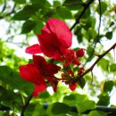 남국농장 이미지