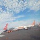 참공인  행정사사무소 이미지