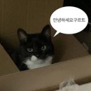 레드버튼 이미지