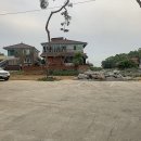 그옛날 토종닭 이미지