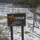 별빛민박농원 이미지