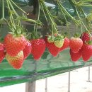 검은들농장 이미지