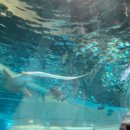 고인돌마을 | 전라도 고창 여행코스 추천｜고인돌유적과 고인돌박물관 직접 다녀온 후기